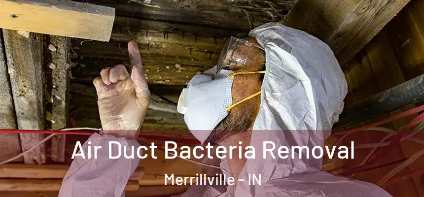  Air Duct Bacteria Removal Merrillville - IN