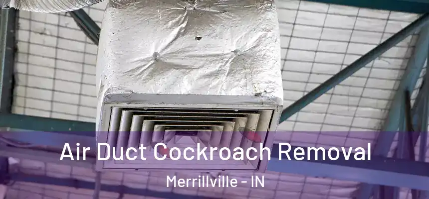  Air Duct Cockroach Removal Merrillville - IN