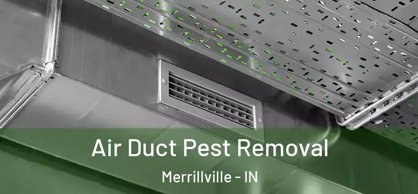 Air Duct Pest Removal Merrillville - IN