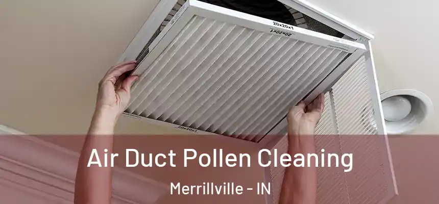  Air Duct Pollen Cleaning Merrillville - IN