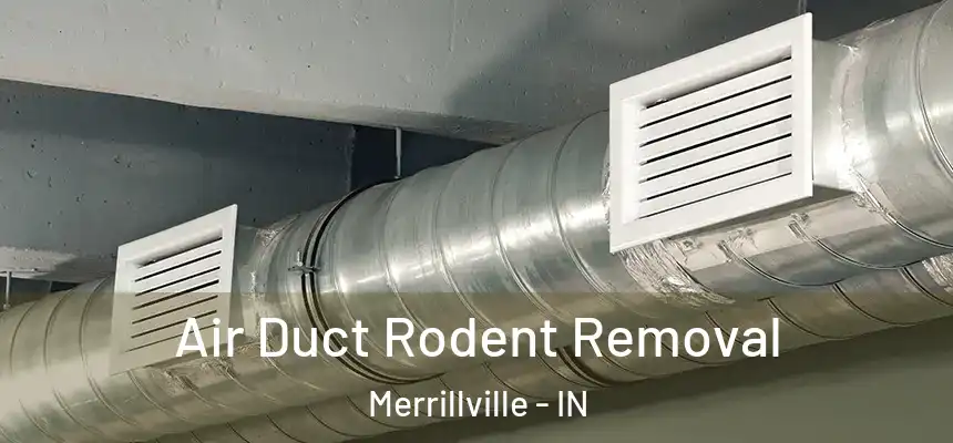 Air Duct Rodent Removal Merrillville - IN