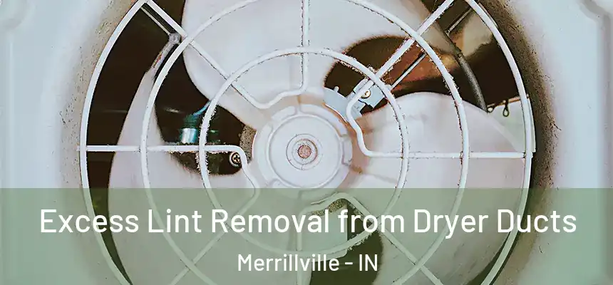  Excess Lint Removal from Dryer Ducts Merrillville - IN