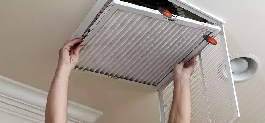 Preventive Cockroach-Proofing for Ducts in Merrillville