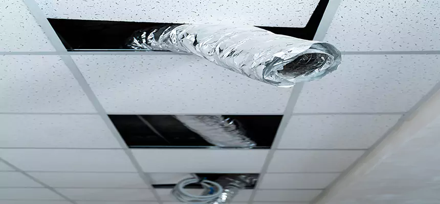 Affordable HVAC Sanitizing After Pest Removal in Merrillville