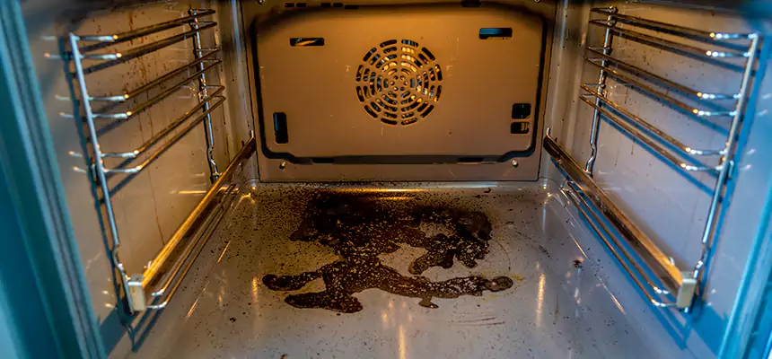 Our Dryer Vent Mold Cleaning Services in Merrillville, IN