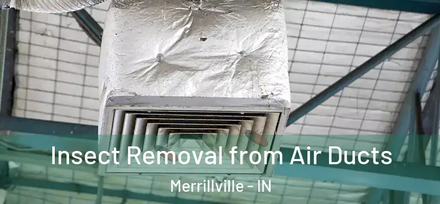 Insect Removal from Air Ducts Merrillville - IN