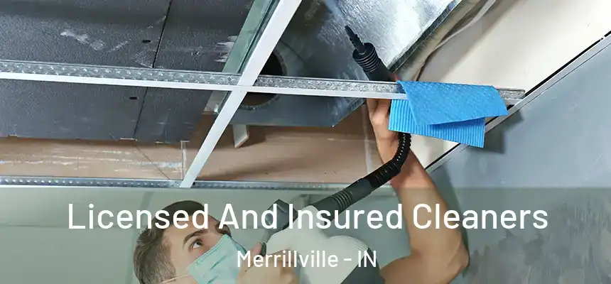 Licensed And Insured Cleaners Merrillville - IN