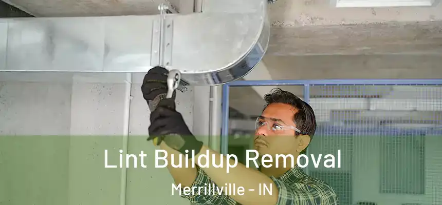  Lint Buildup Removal Merrillville - IN
