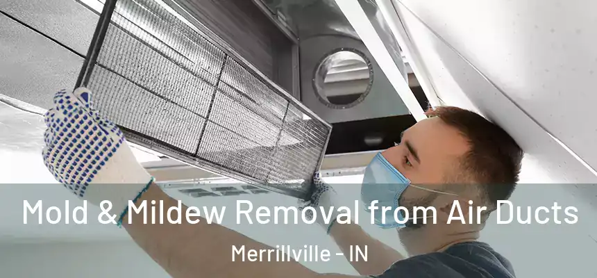 Mold & Mildew Removal from Air Ducts Merrillville - IN